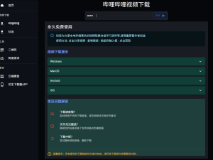视频下载工具 支持B站、抖音等平台插图